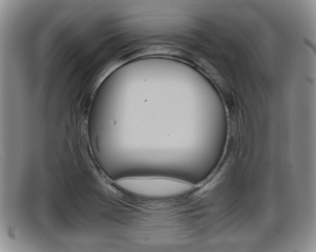 X0000096731369200802051118