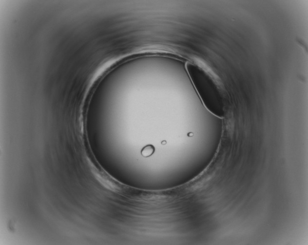 X0000096731372200802051118