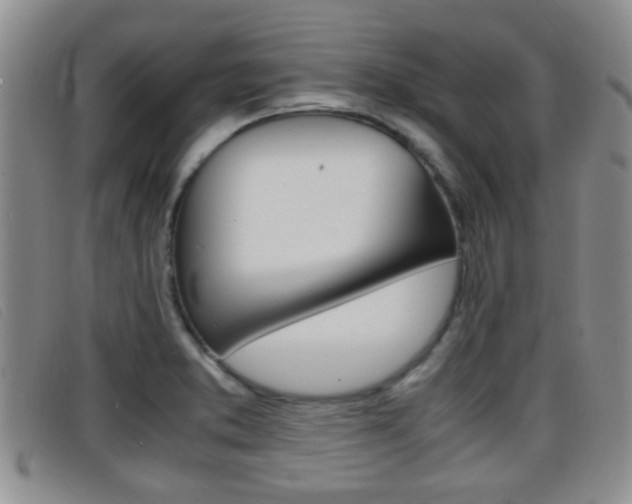 X0000096731373200802051118