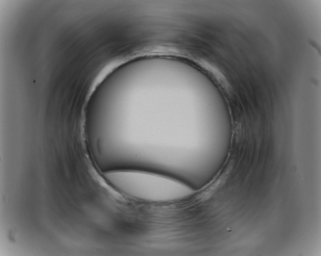 X0000096731374200802051118