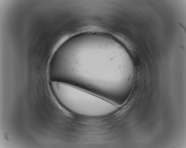 X0000096731375200802051118