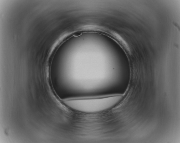 X0000096731376200802051118