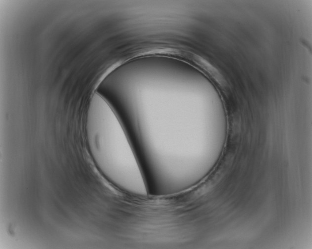X0000096731377200802051118