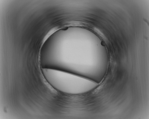 X0000096731378200802051118