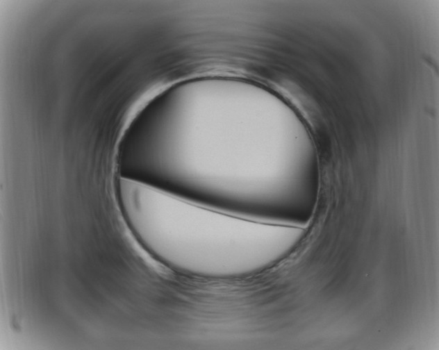 X0000096731379200802051118