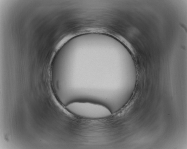 X0000096731381200802051118