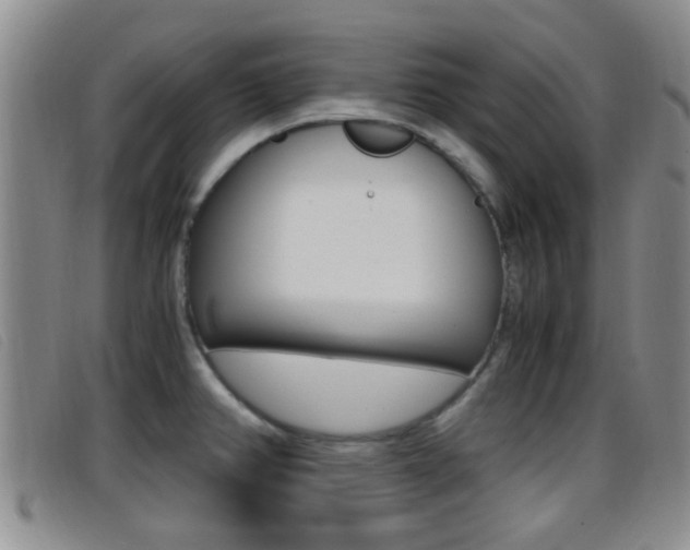 X0000096731382200802051118