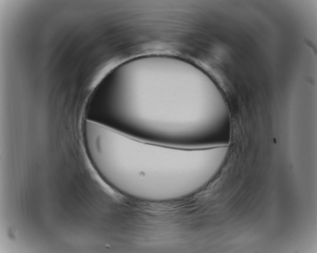 X0000096731383200802051118