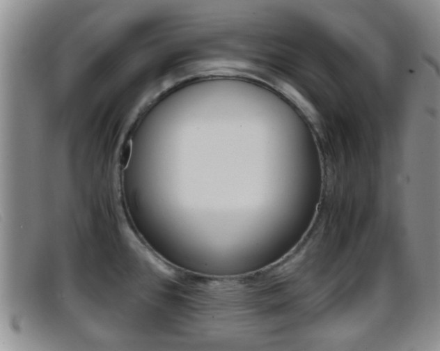 X0000096731384200802051118