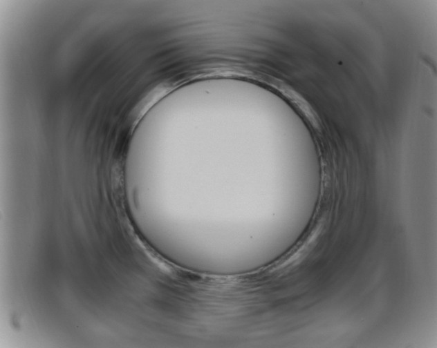 X0000096731385200802051118