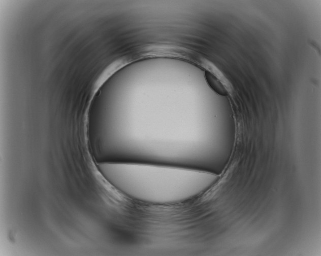 X0000096731386200802051118