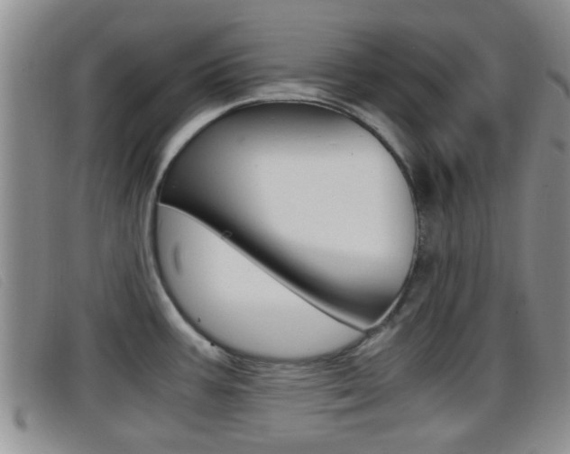 X0000096731387200802051118