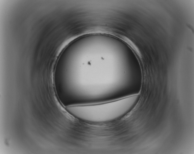 X0000096731388200802051118