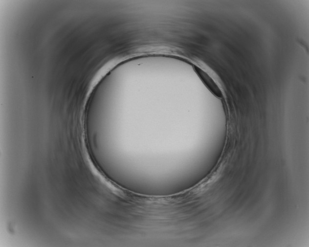 X0000096731389200802051118