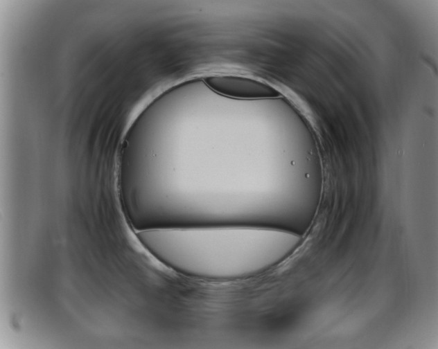 X0000096731390200802051118