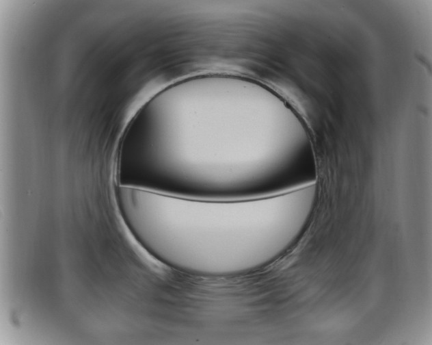 X0000096731391200802051118