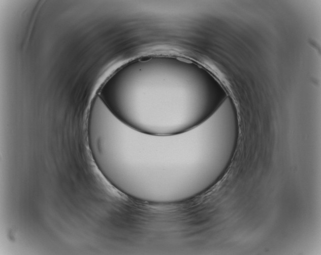 X0000096731392200802051118