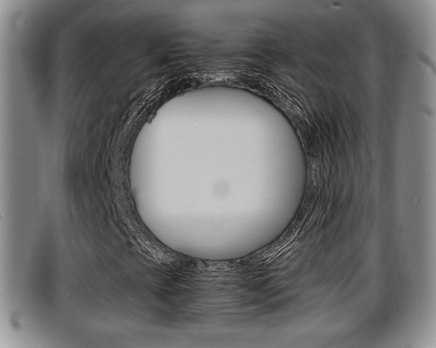 X0000096731393200802051117