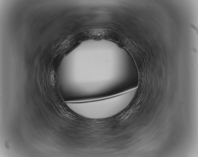 X0000096731394200802051117