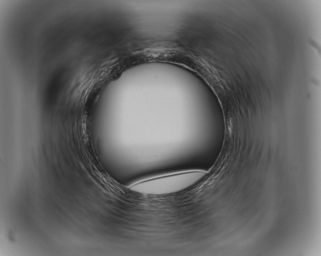 X0000096731396200802051117