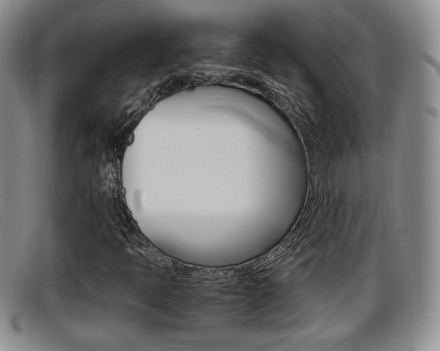 X0000096731397200802051117