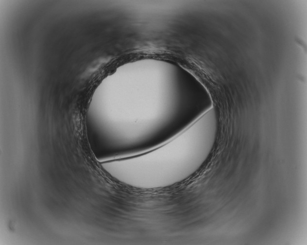 X0000096731398200802051118