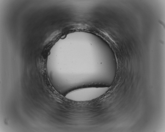 X0000096731399200802051118