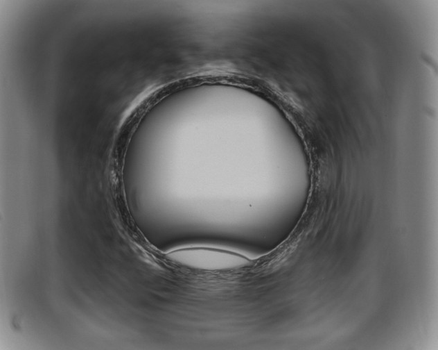 X0000096731400200802051118