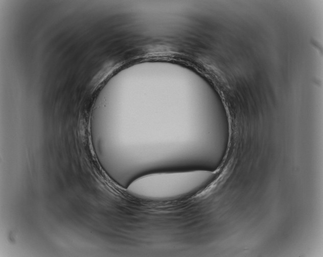 X0000096731401200802051118