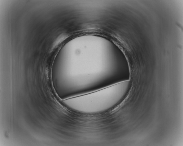 X0000096731402200802051118