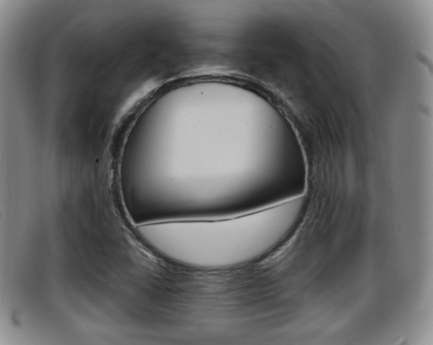 X0000096731406200802051118