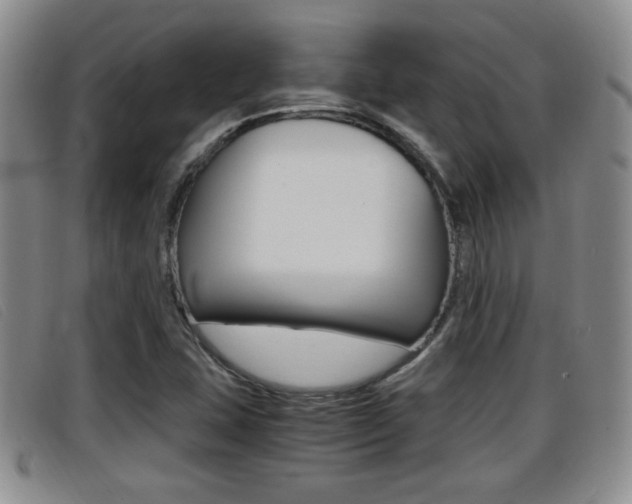 X0000096731407200802051118