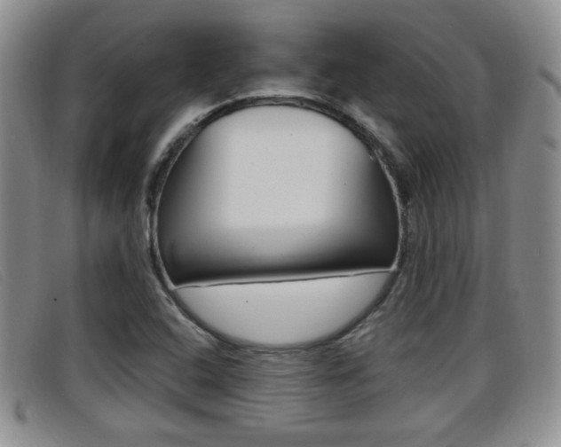 X0000096731408200802051118