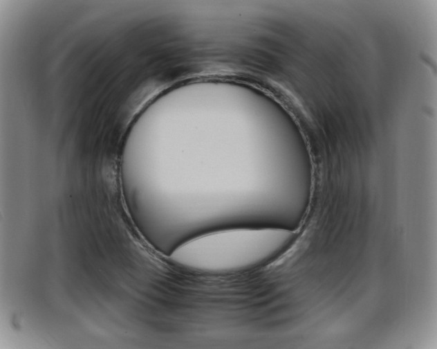 X0000096731409200802051118