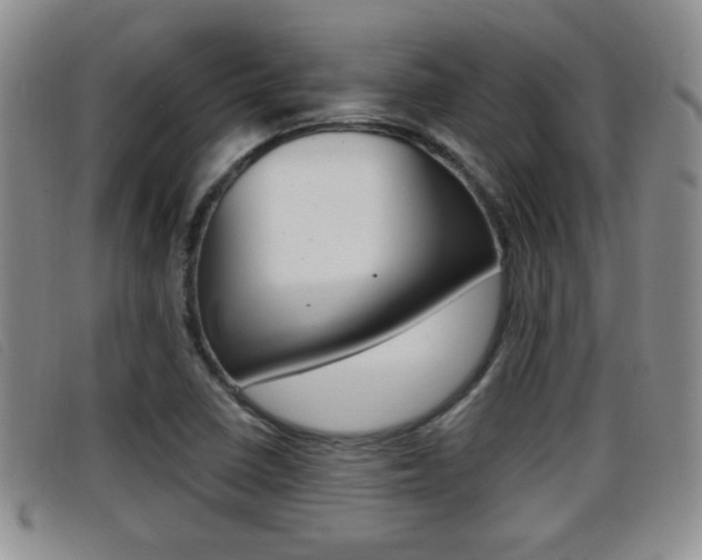 X0000096731410200802051118