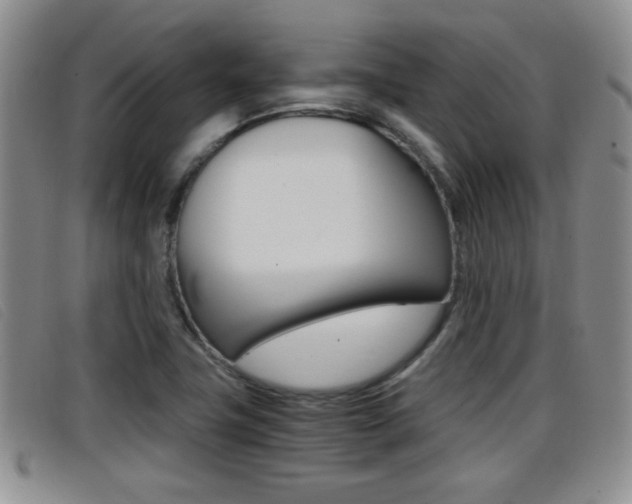 X0000096731411200802051118