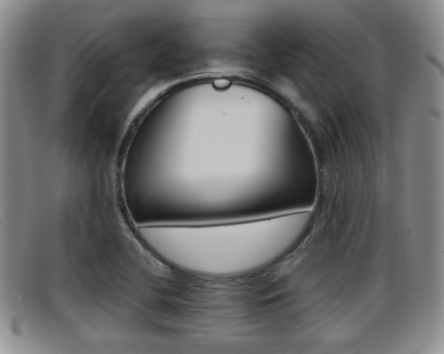 X0000096731412200802051118