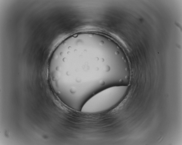 X0000096731413200802051118