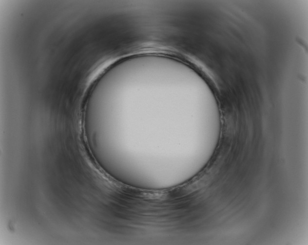 X0000096731415200802051118