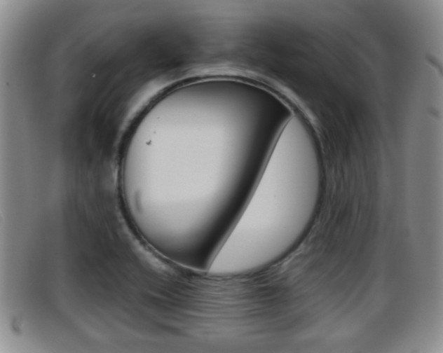X0000096731416200802051118