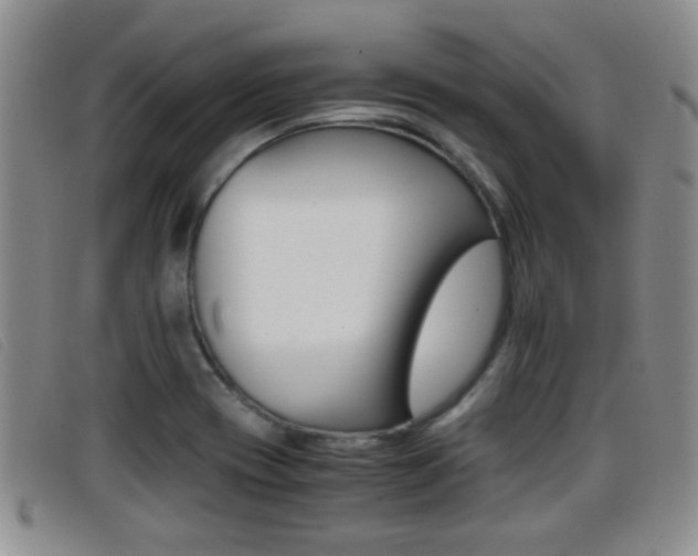 X0000096731417200802051118