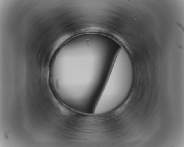 X0000096731418200802051118