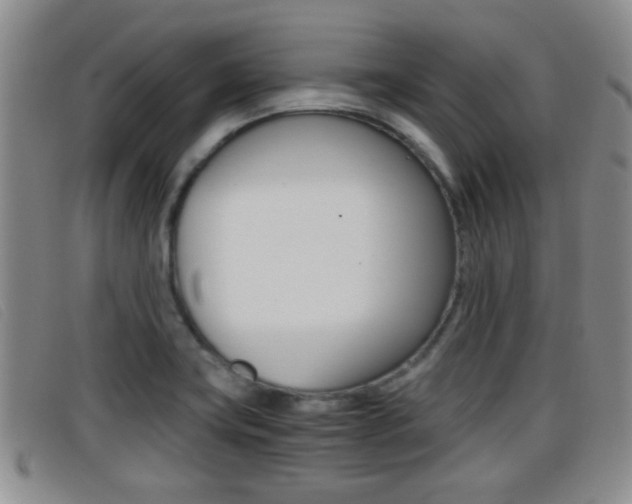 X0000096731419200802051118