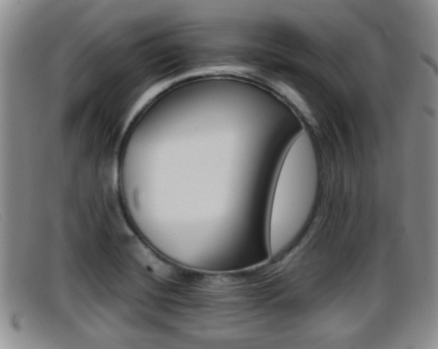 X0000096731420200802051118