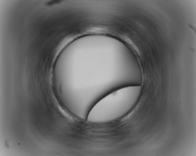 X0000096731421200802051118