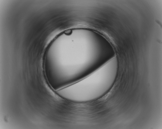 X0000096731422200802051118