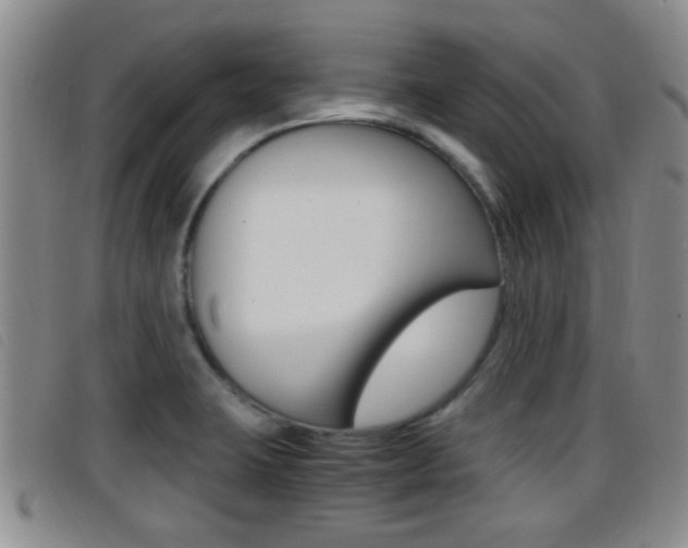 X0000096731423200802051118