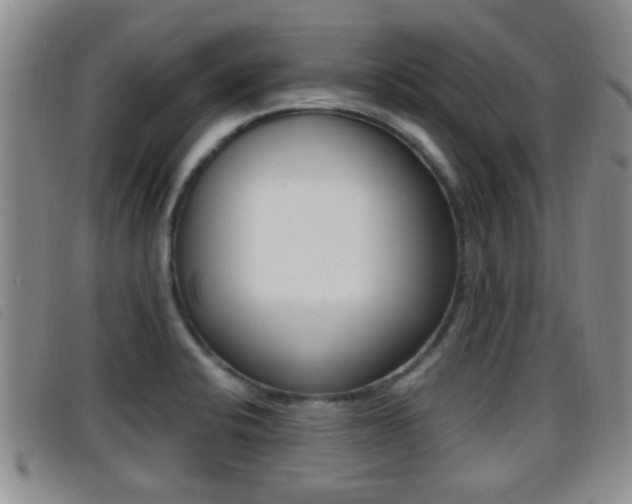 X0000096731424200802051118