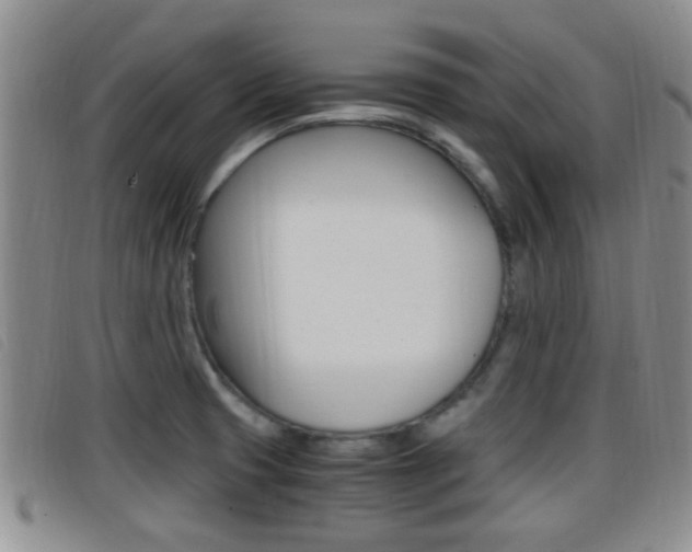 X0000096731425200802051118