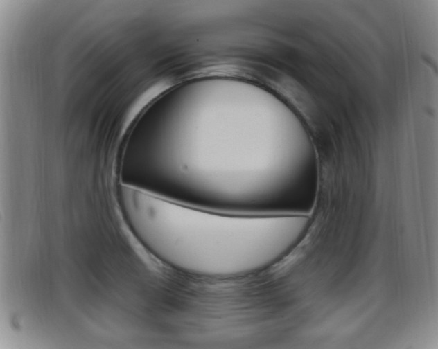 X0000096731426200802051118